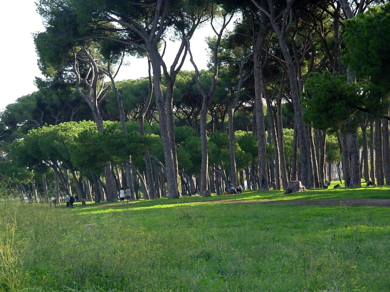 Apartamento Nearpineta